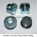 SAE steel plug